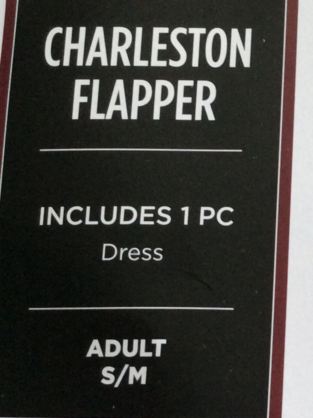Charleston Flapper costume - Picture 3 of 3